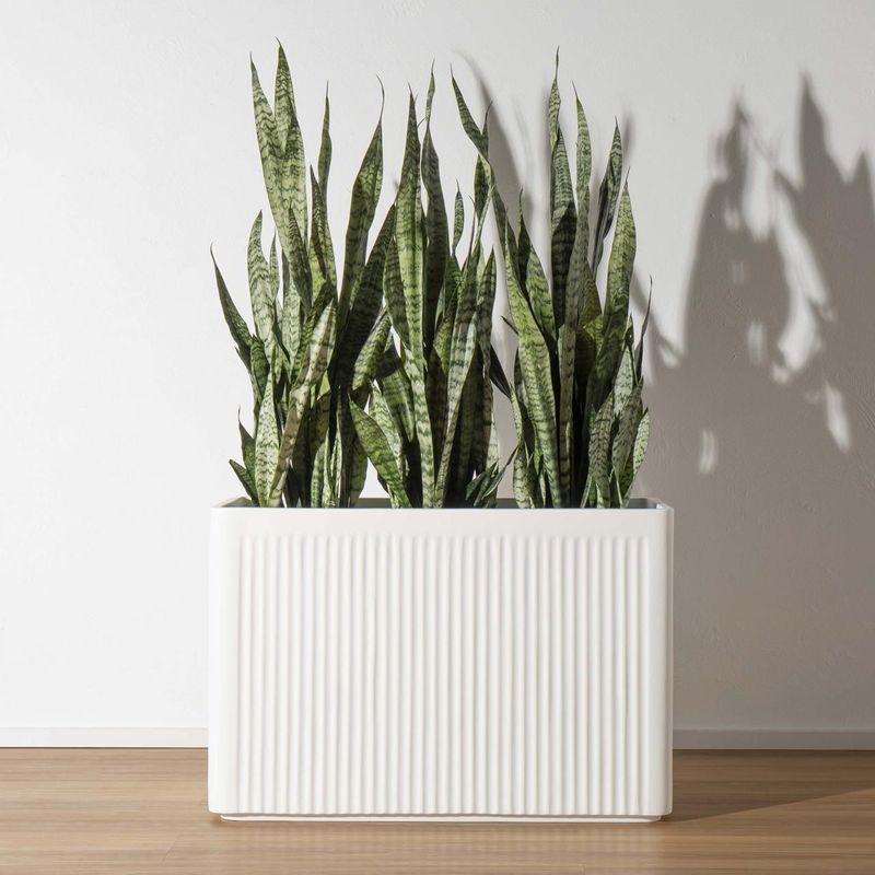 Stavanger Ribbed Trough