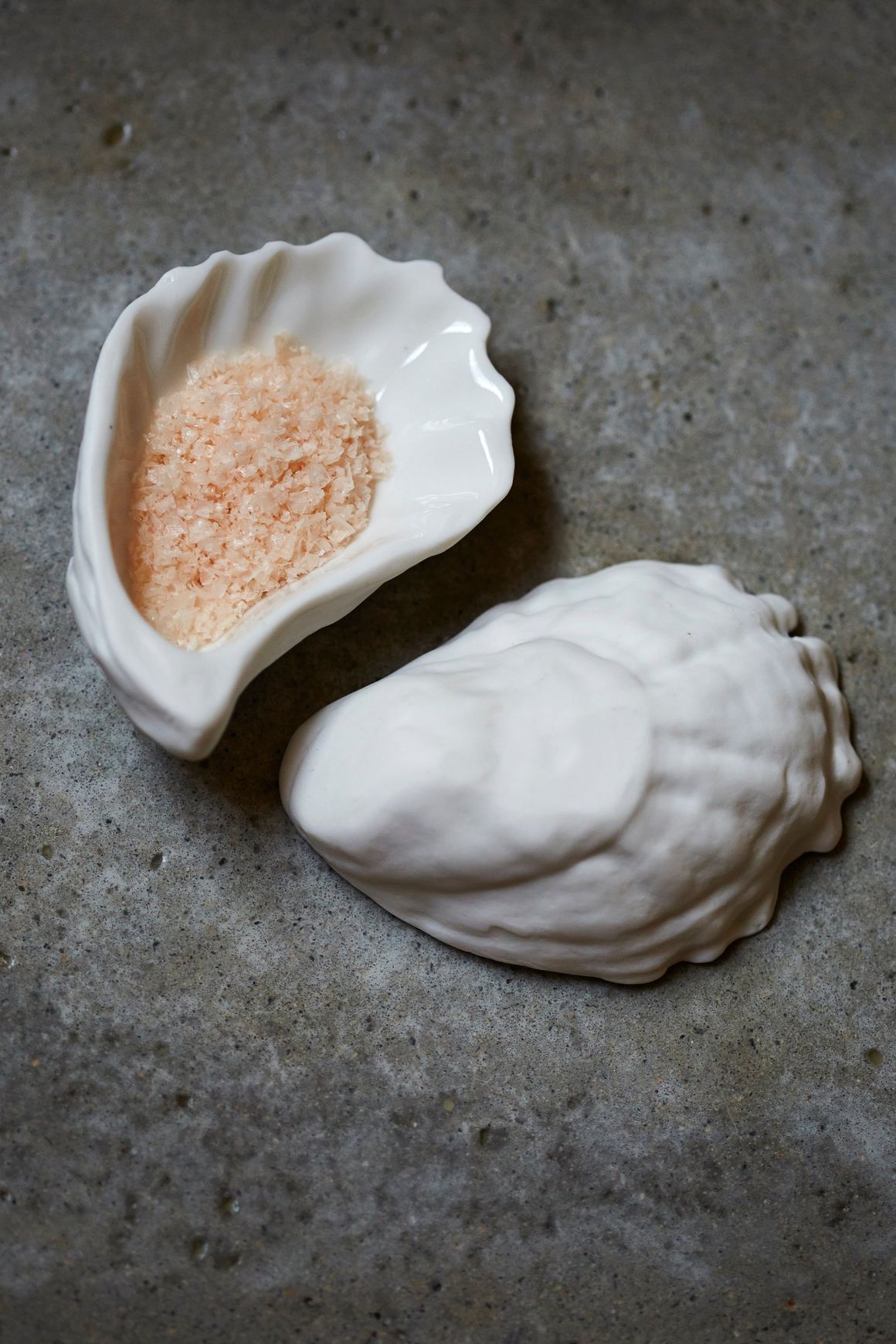 Bounty Shells