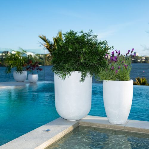 Franoma - Perth Planter