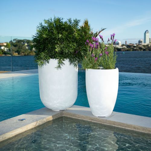 Franoma - Tampa Planter