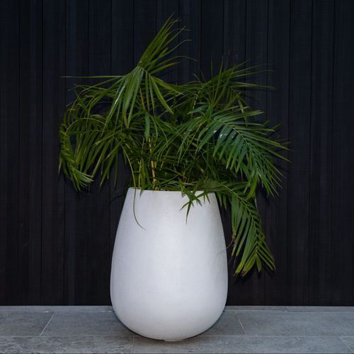 Franoma - Savona Planter