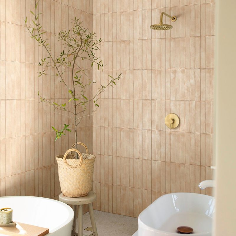 Taomina Biscotti Subway