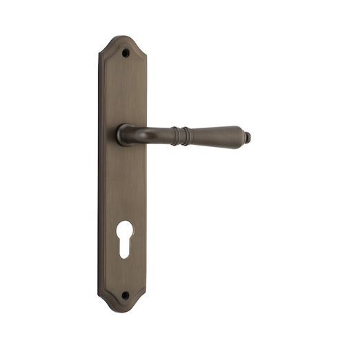 Iver Sarlat Lever on Shouldered Backplate Euro Signature Brass 10712E85 - Customise to your need