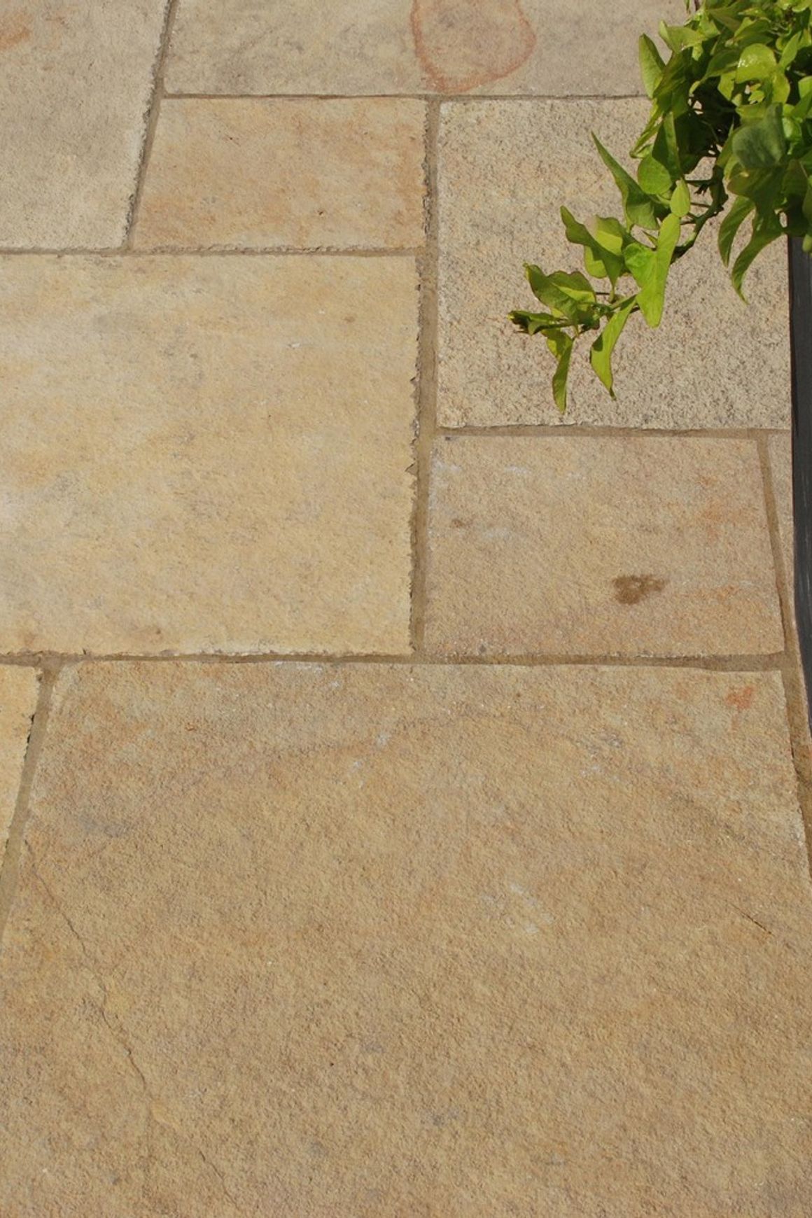 Holtan Lime | Landscape Surfaces