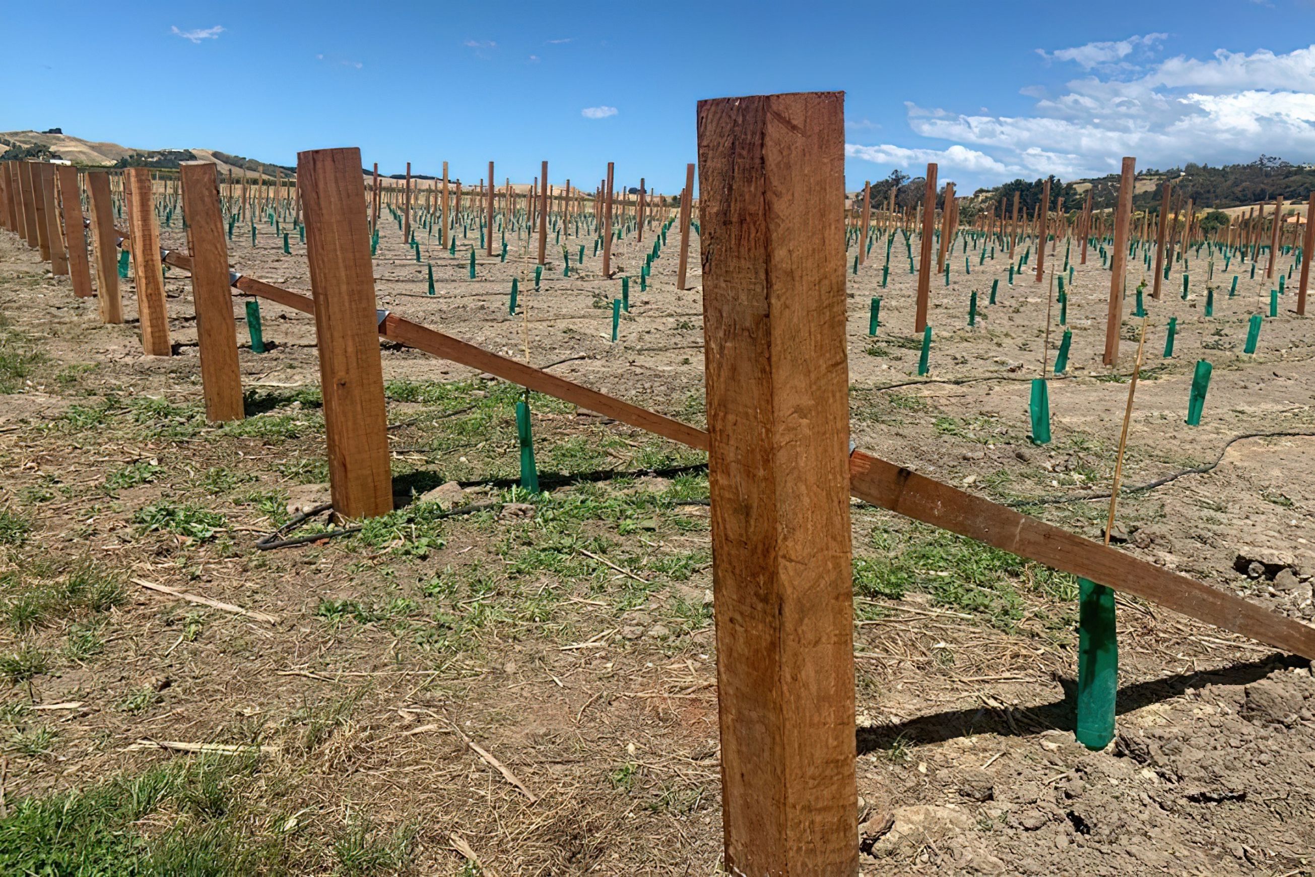 Vineyard Hardwood