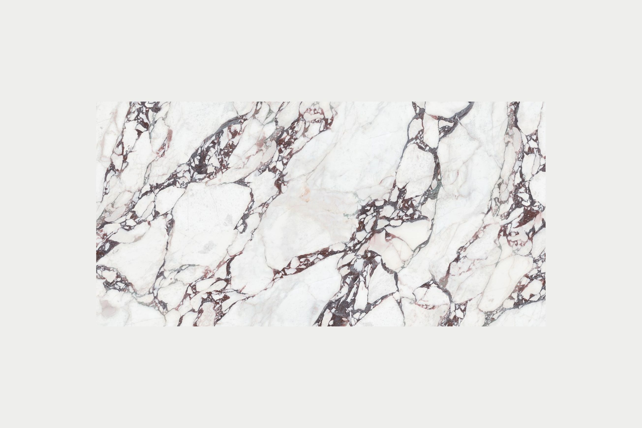 Viola | Quantum Porcelain