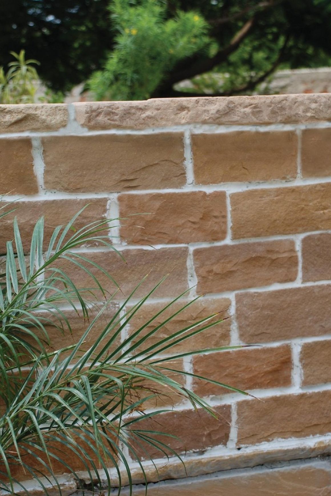 Ochre Beige | Natural Stone Walling