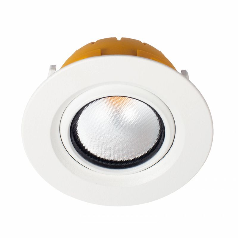 ZELA Tiltz Downlight