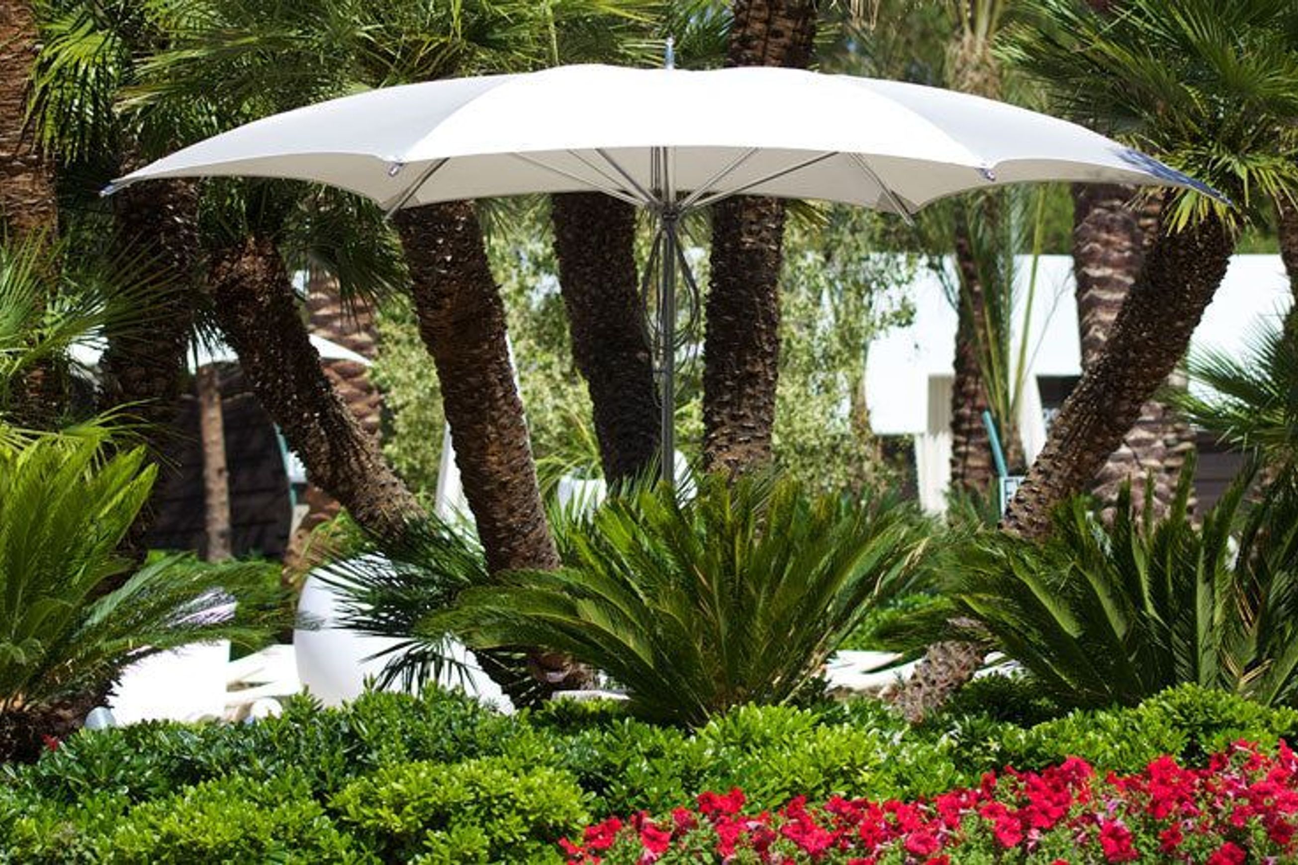 Tuuci Ocean Master Crescent Parasol