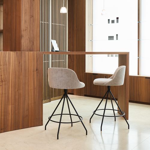 Aleta Counter Stool - Swivel