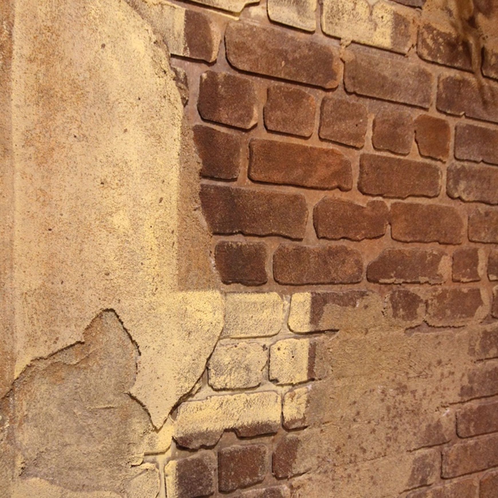 Custom Wall Finishes
