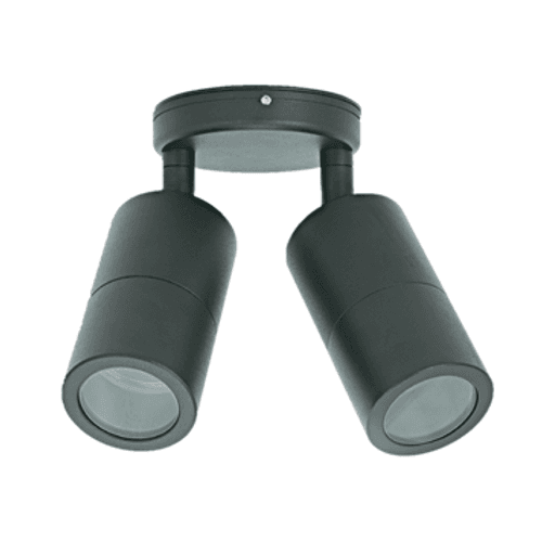 Mounted Double Adjustable Outdoor Light