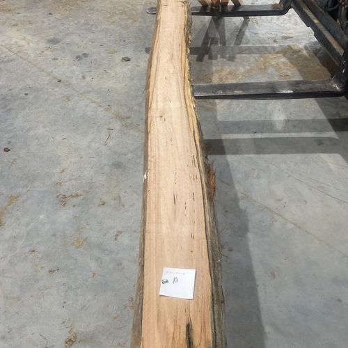 Eucalyptus Slabs