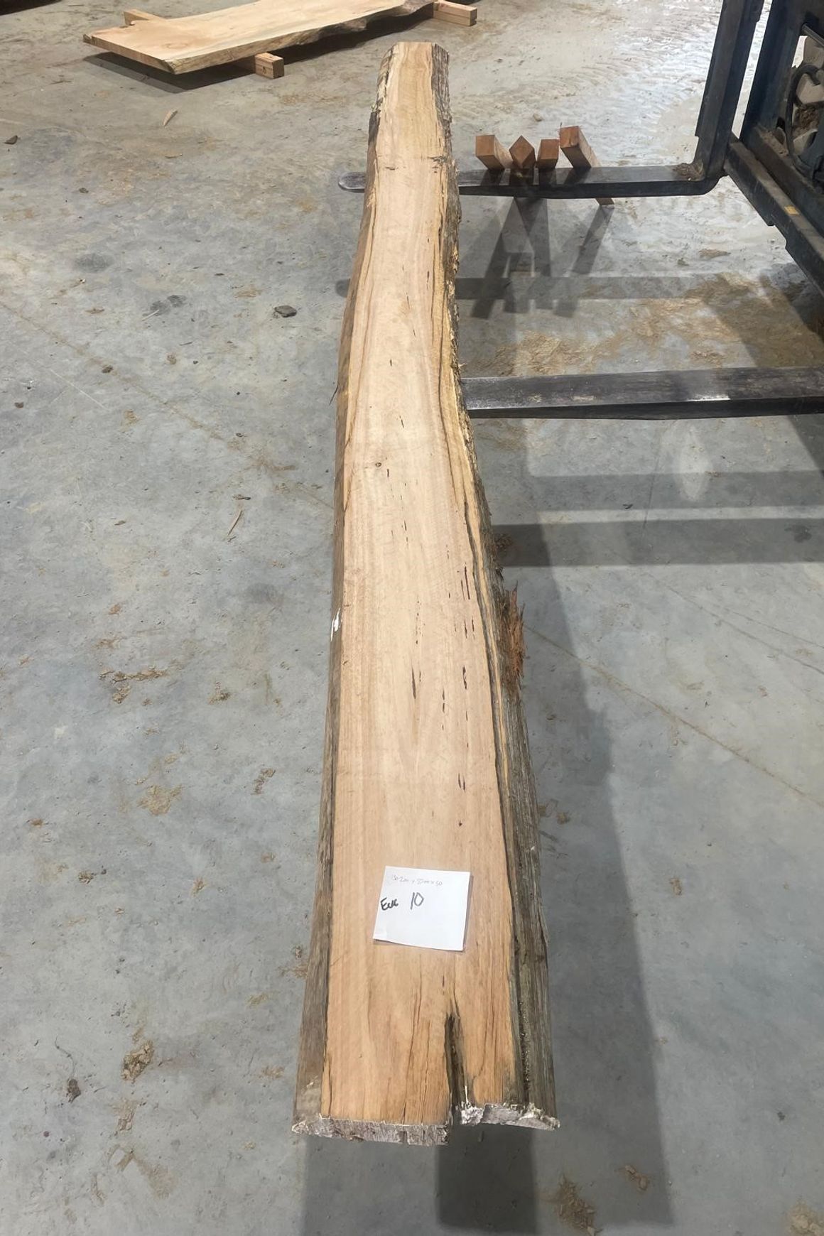 Eucalyptus Slabs