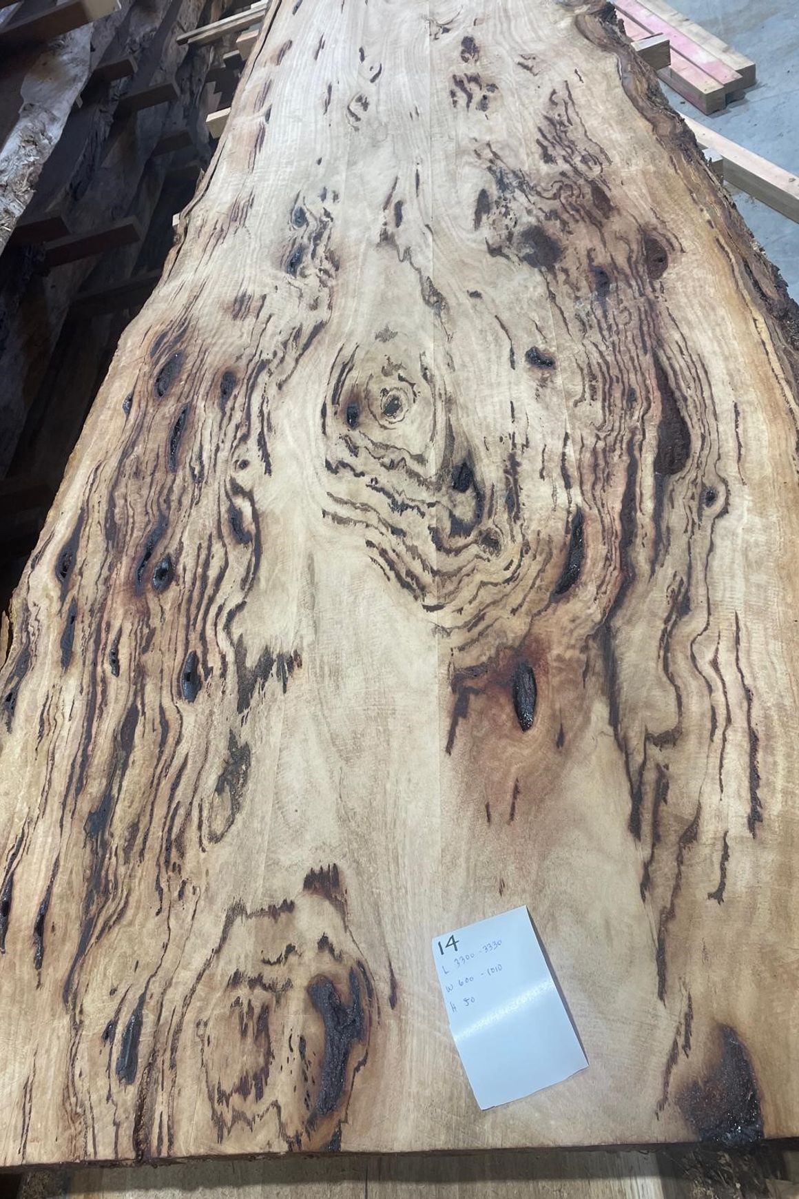 Eucalyptus Slabs