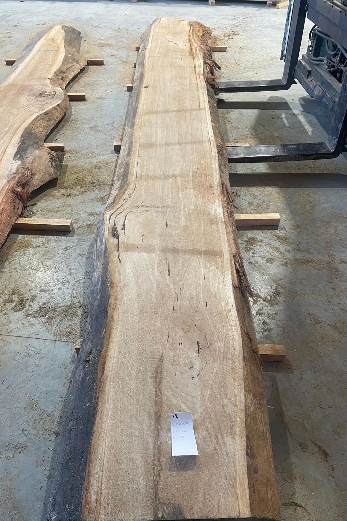Eucalyptus Slabs