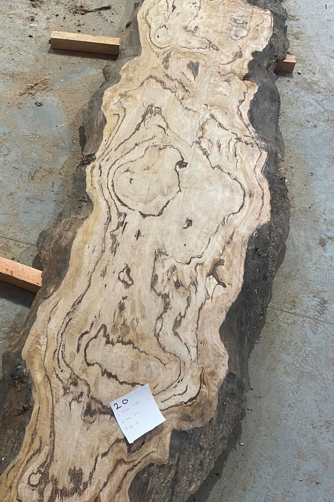 Eucalyptus Slabs