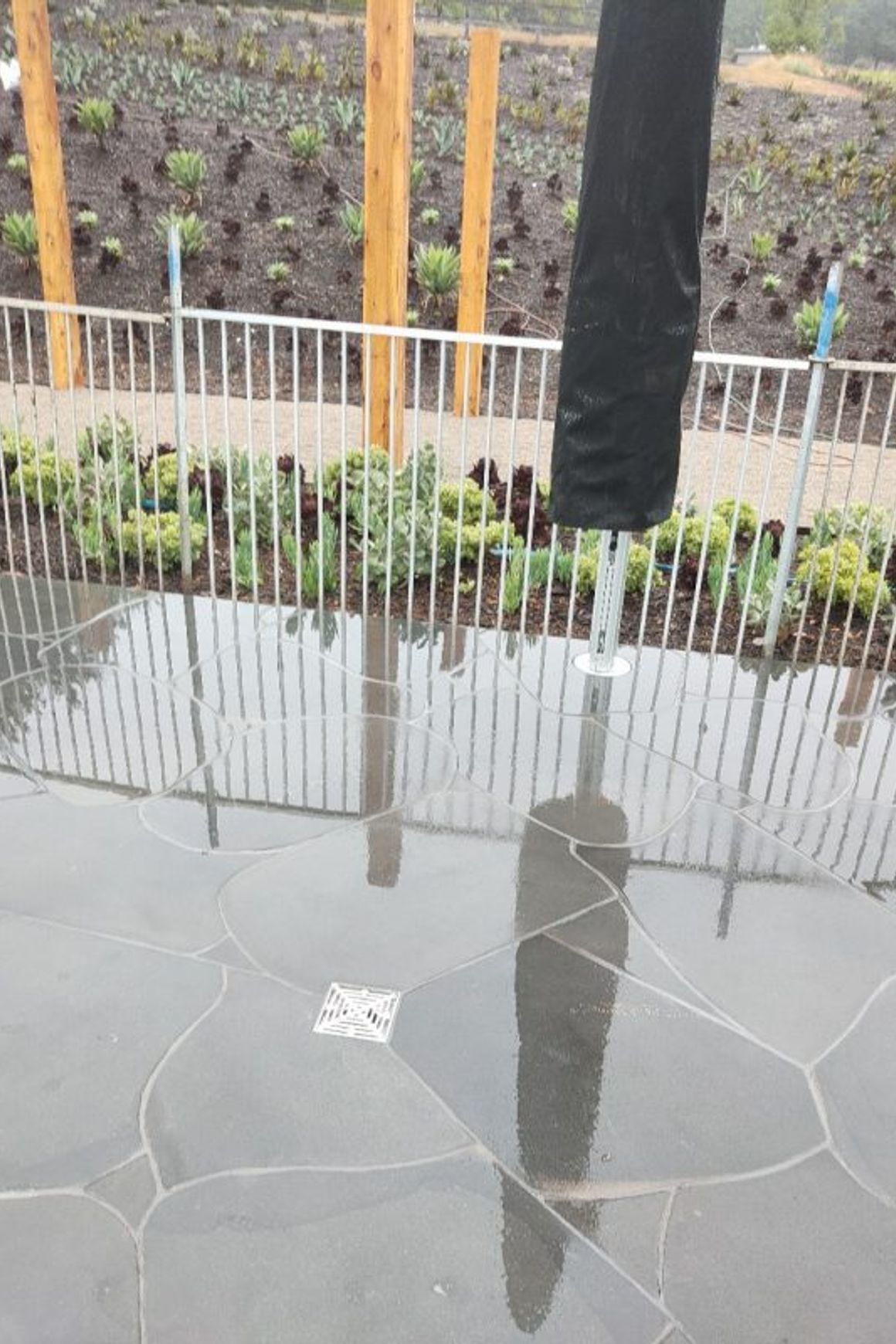 Premium Bluestone Crazy Paving