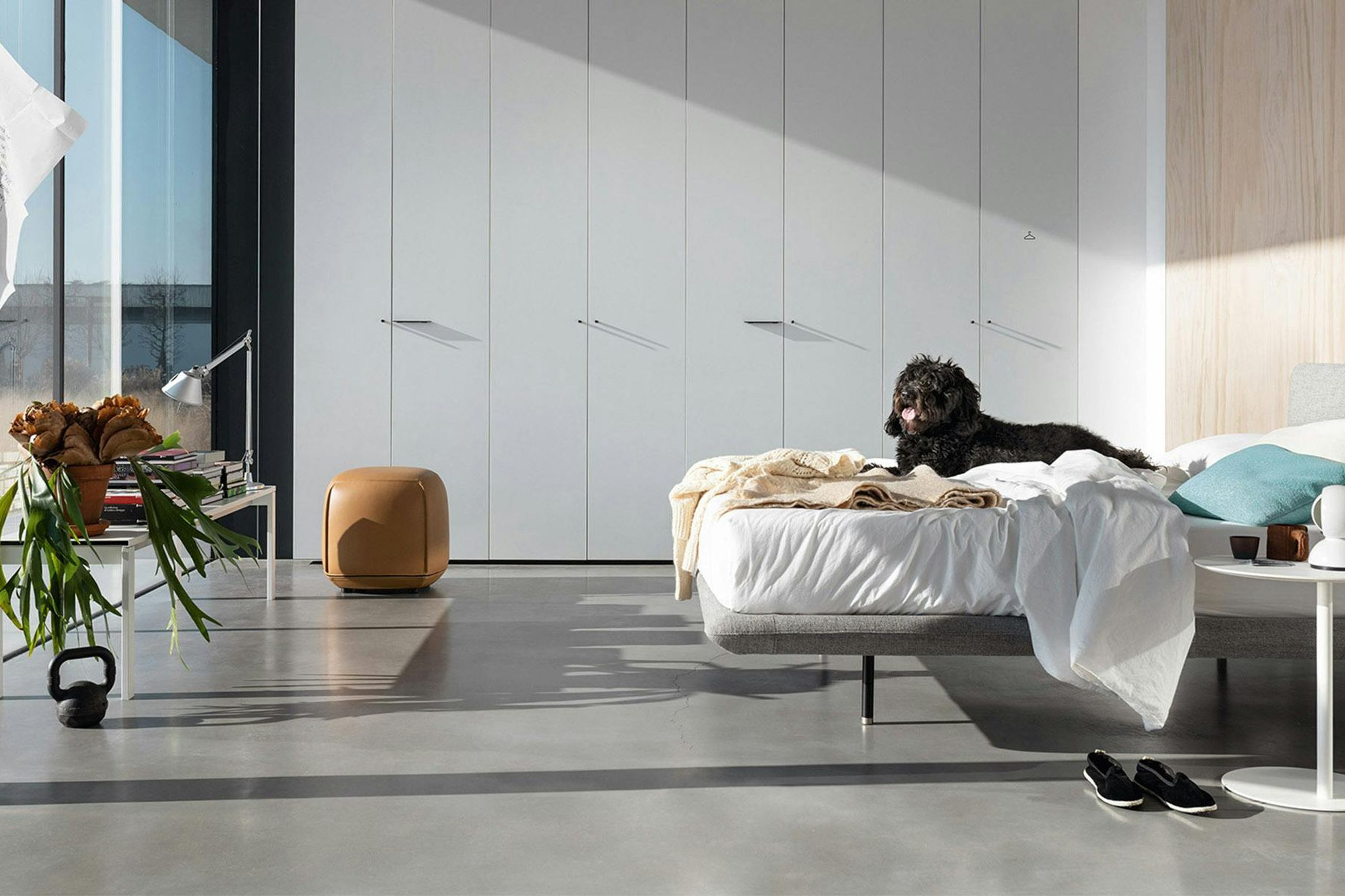 Clapis Bed