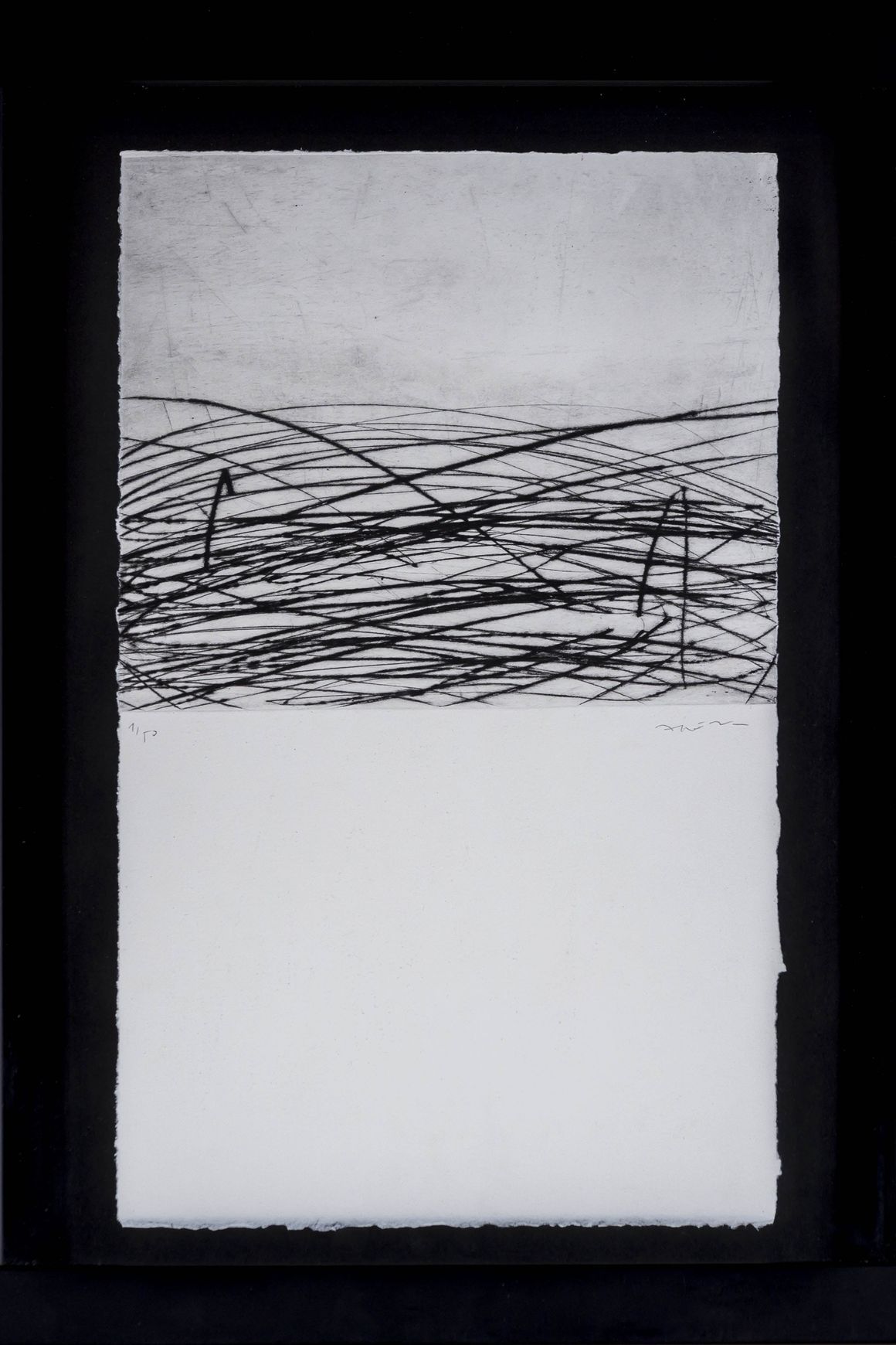 Negro Triptico