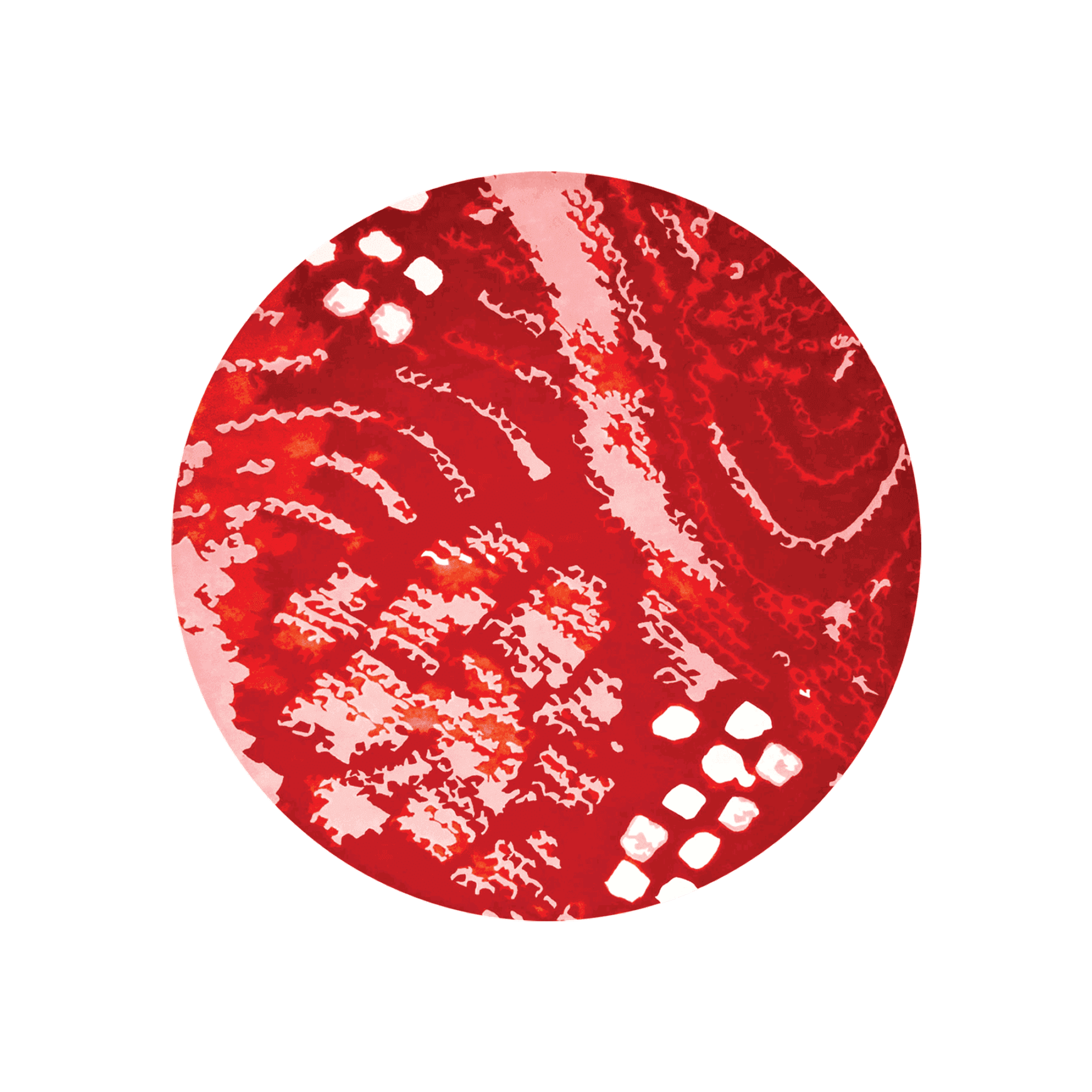 Shibori Round by  Akira Isogawa
