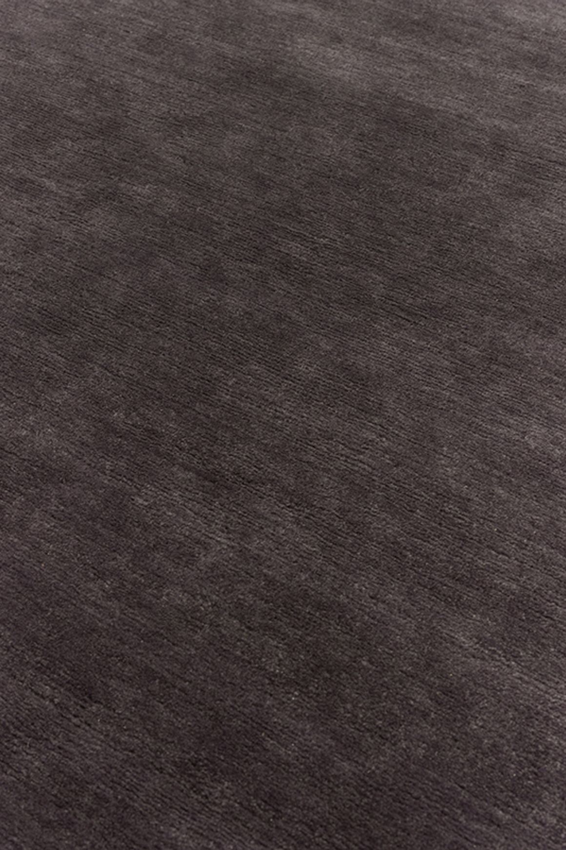 Summit Black Plum