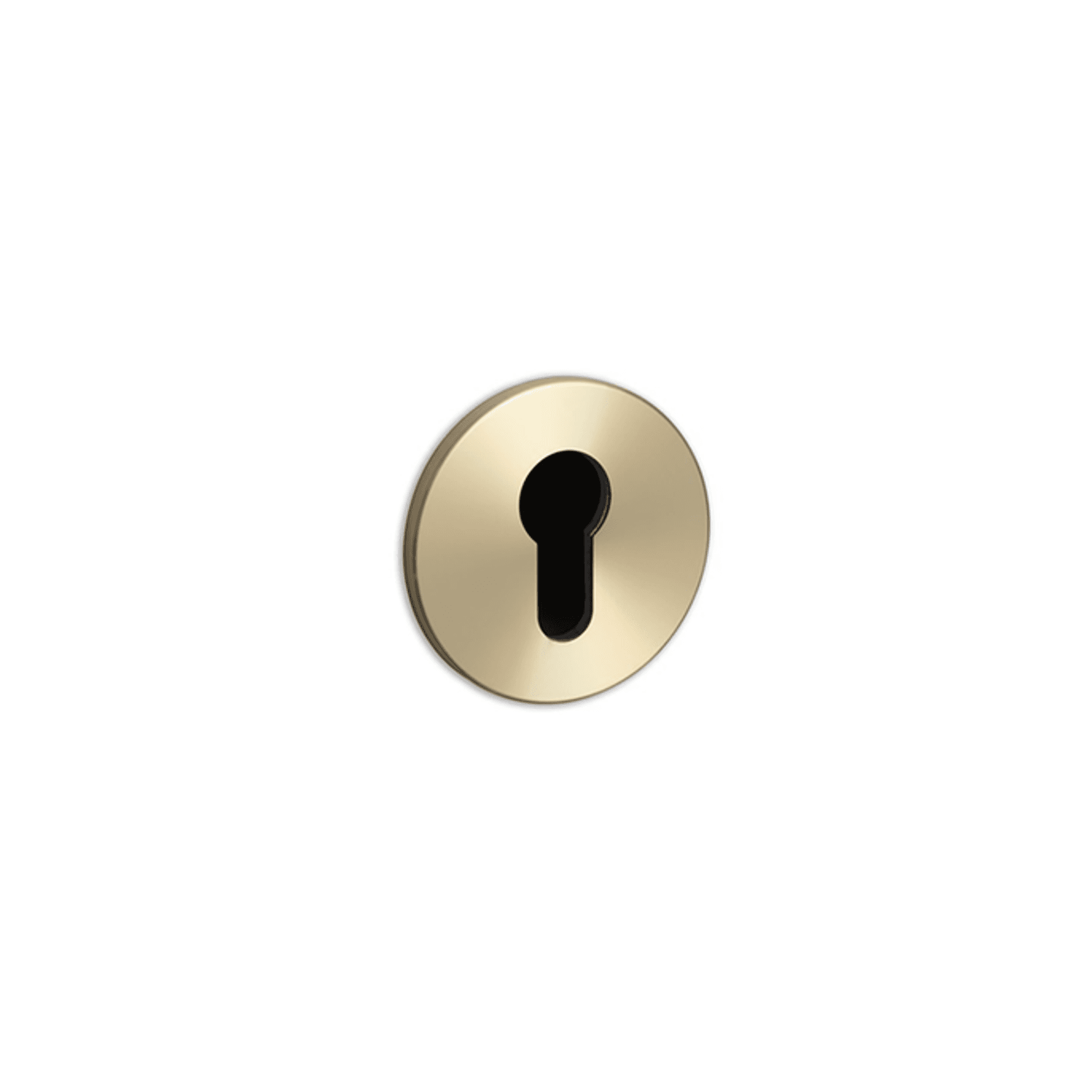 Buster + Punch Euro Escutcheon