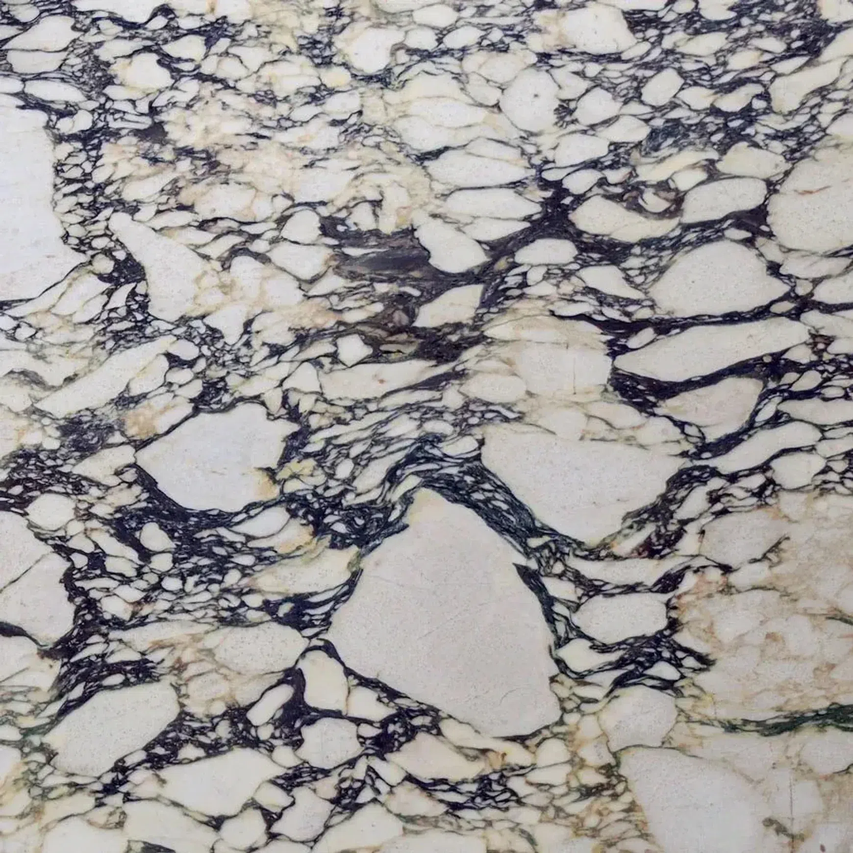 Fluted Oval Dining Table - Viola Calacatta Marble