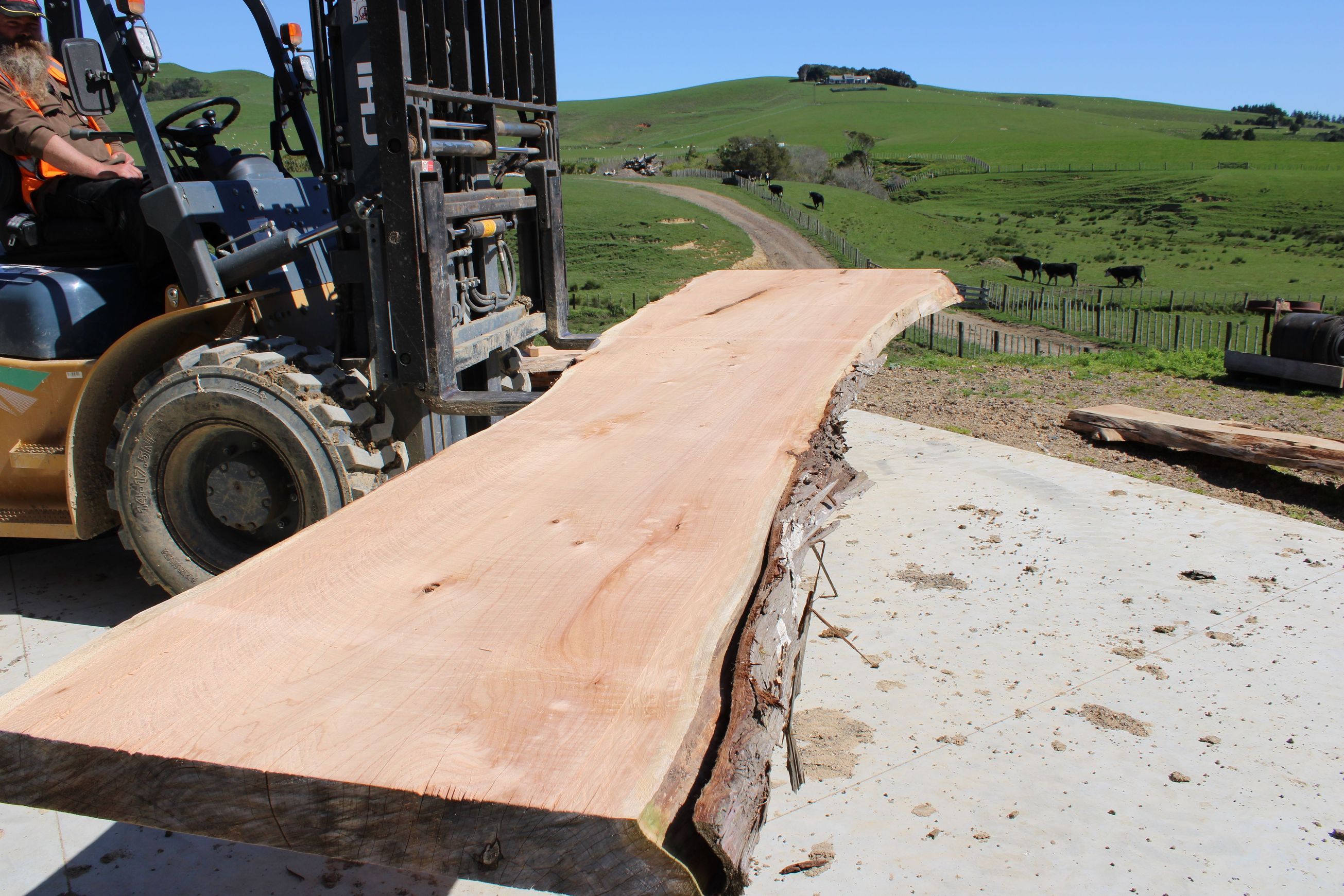 Macrocarpa Slabs