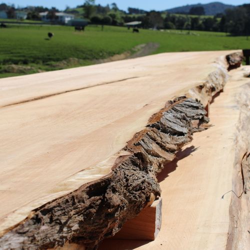 Macrocarpa Slabs