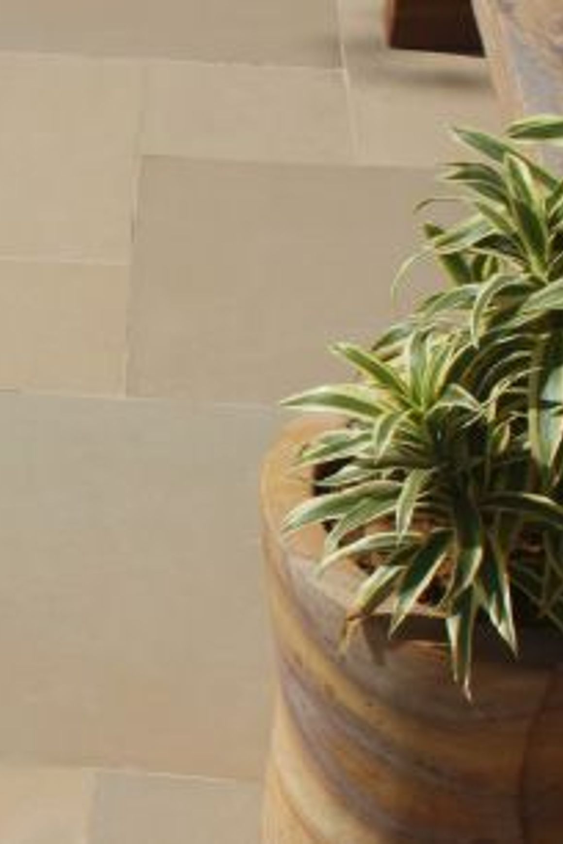 Prato | Landscape Surfaces
