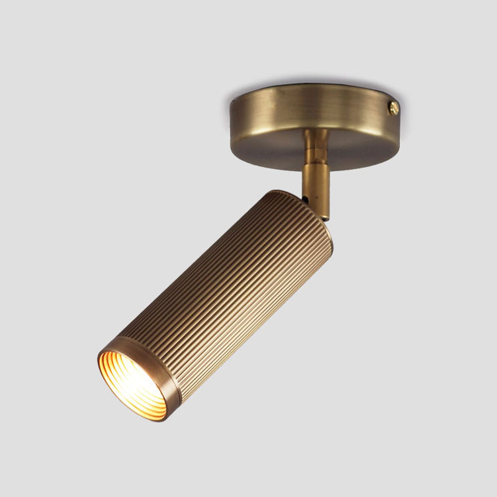 Spot Ceiling Light