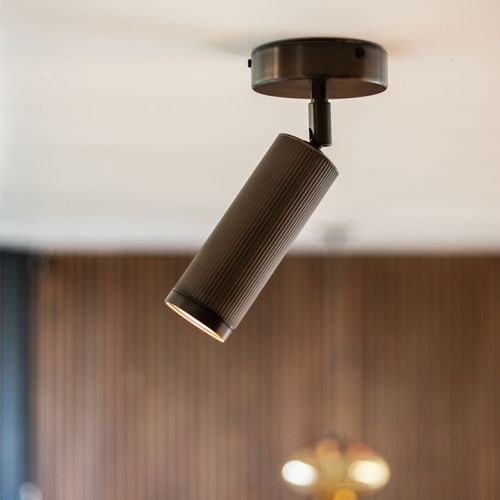 Spot Ceiling Light
