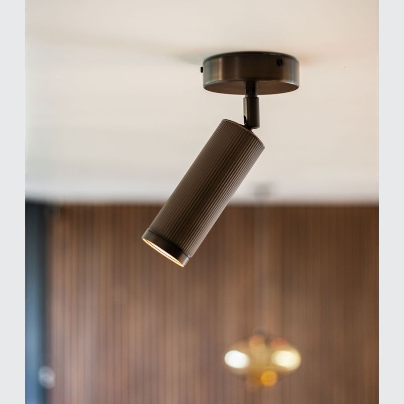 Spot Ceiling Light