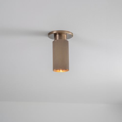 Spot Pro Mini Ceiling Light