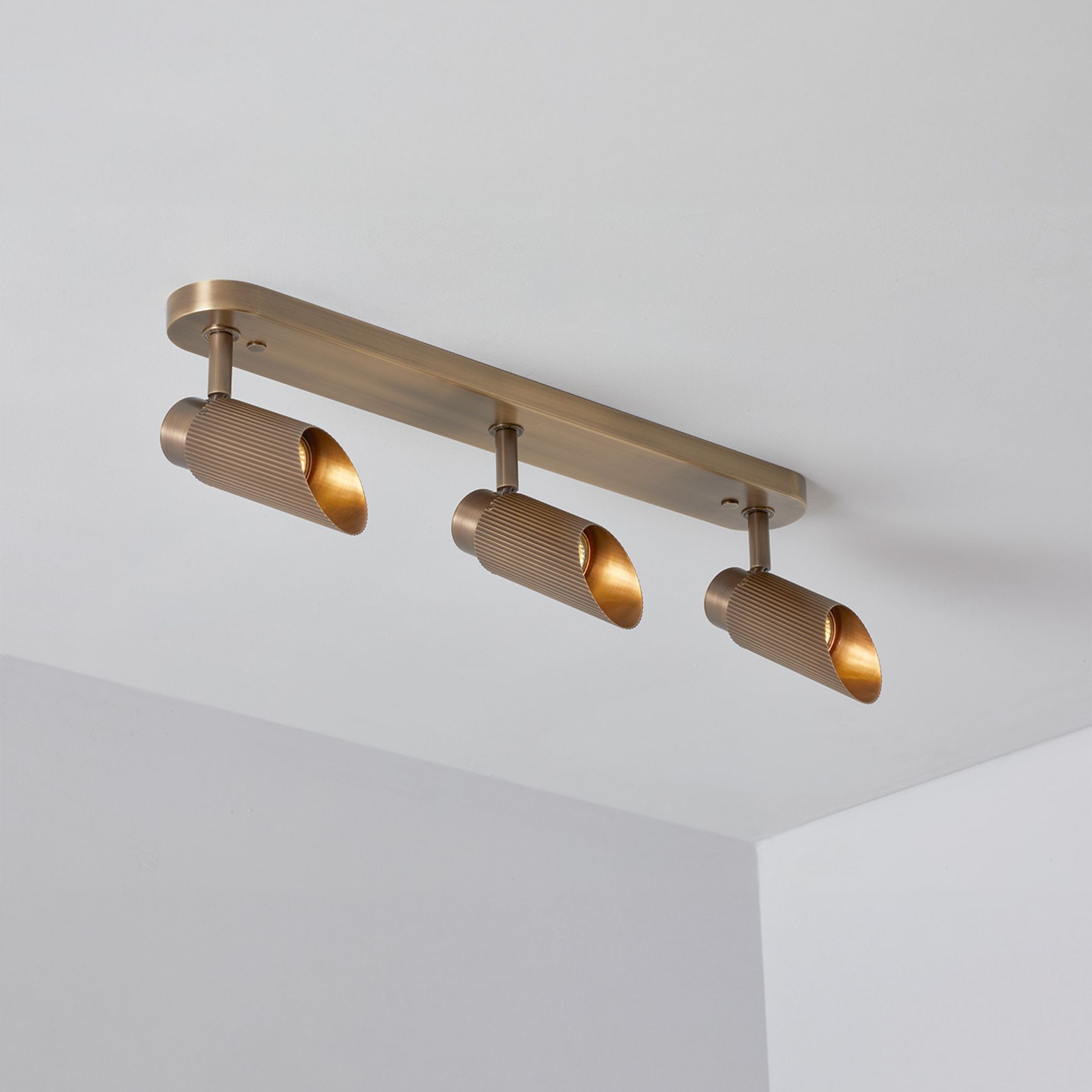 Spot Pro Triple Ceiling Light