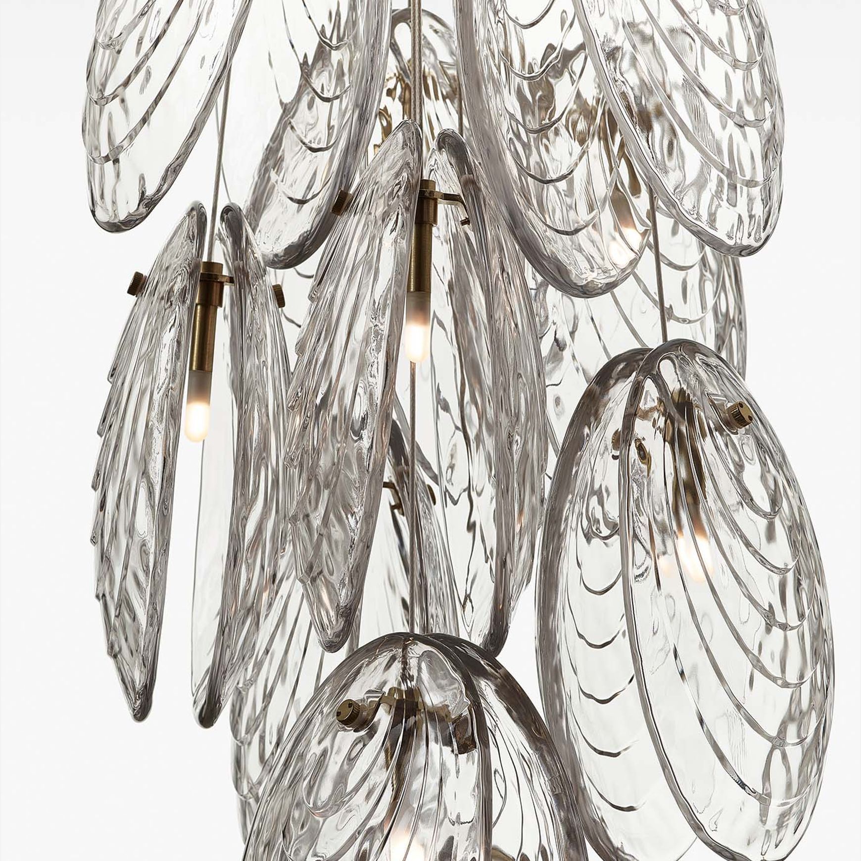 Mussels Pendant Light