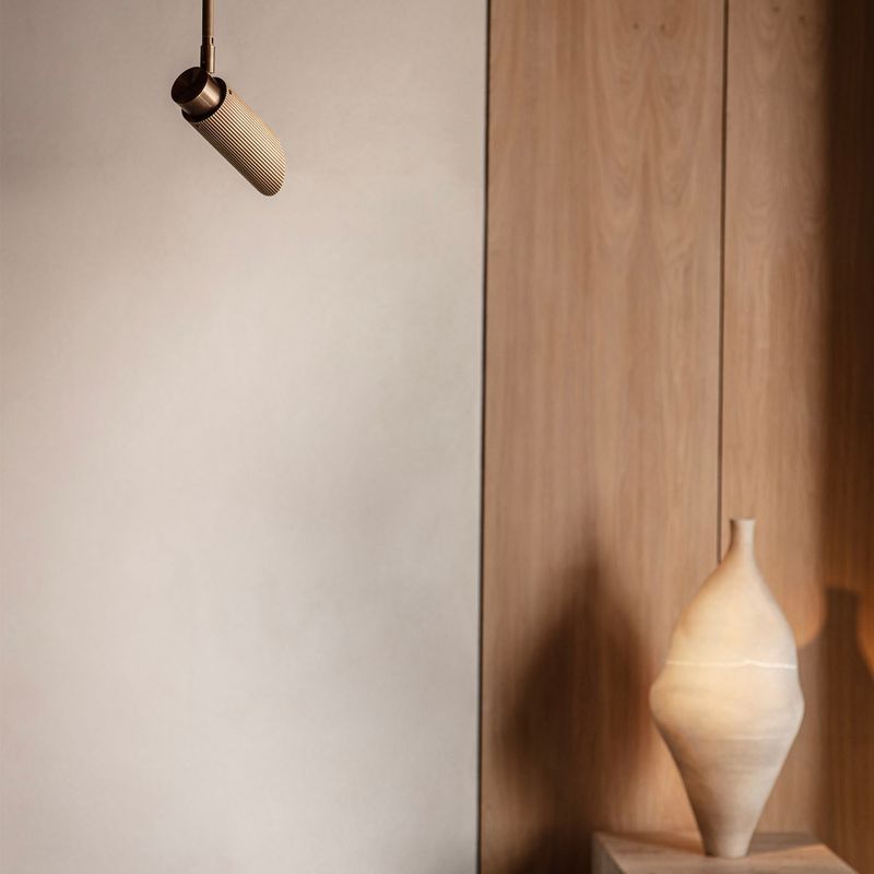 Spot Pro Ceiling Light