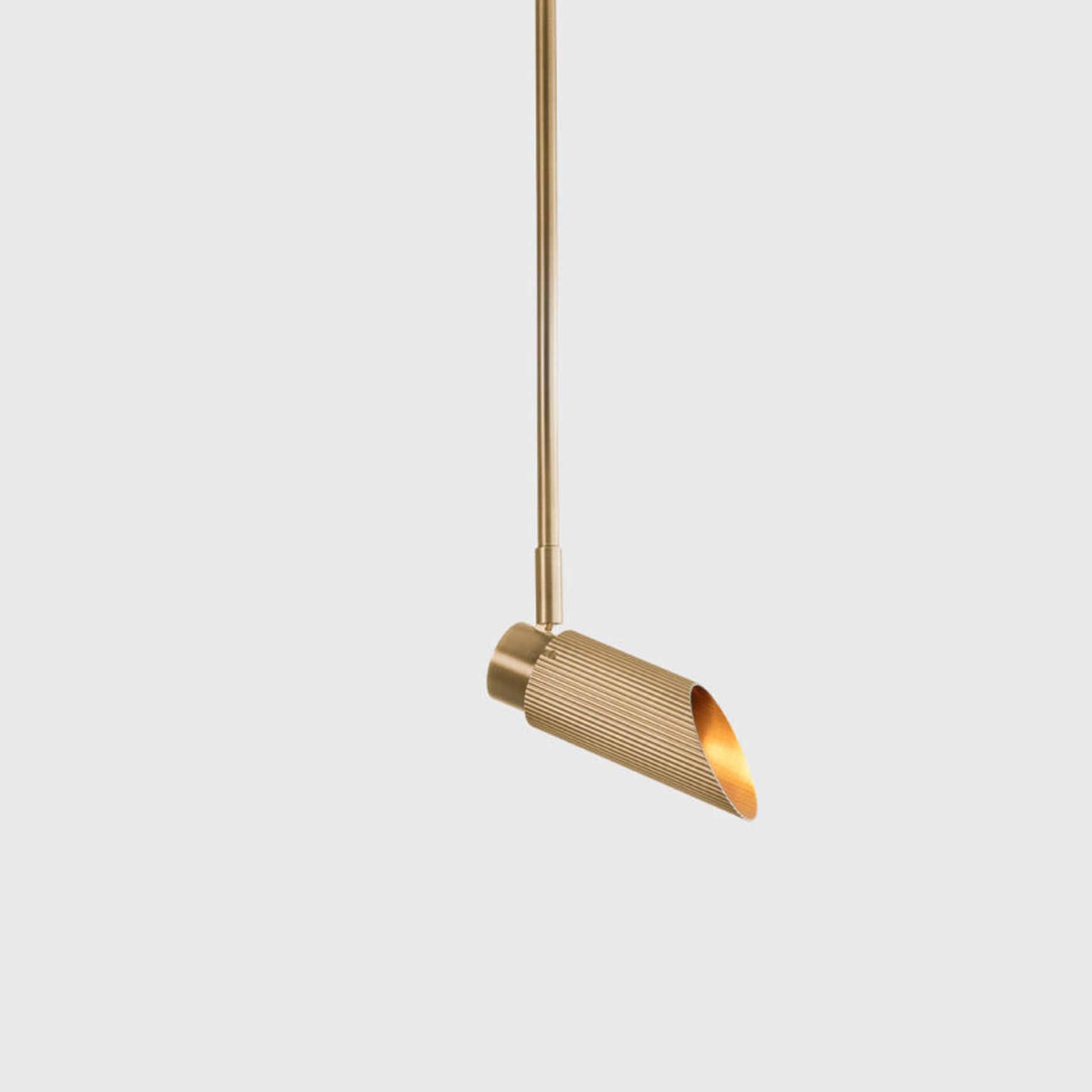 Spot Pro Ceiling Light