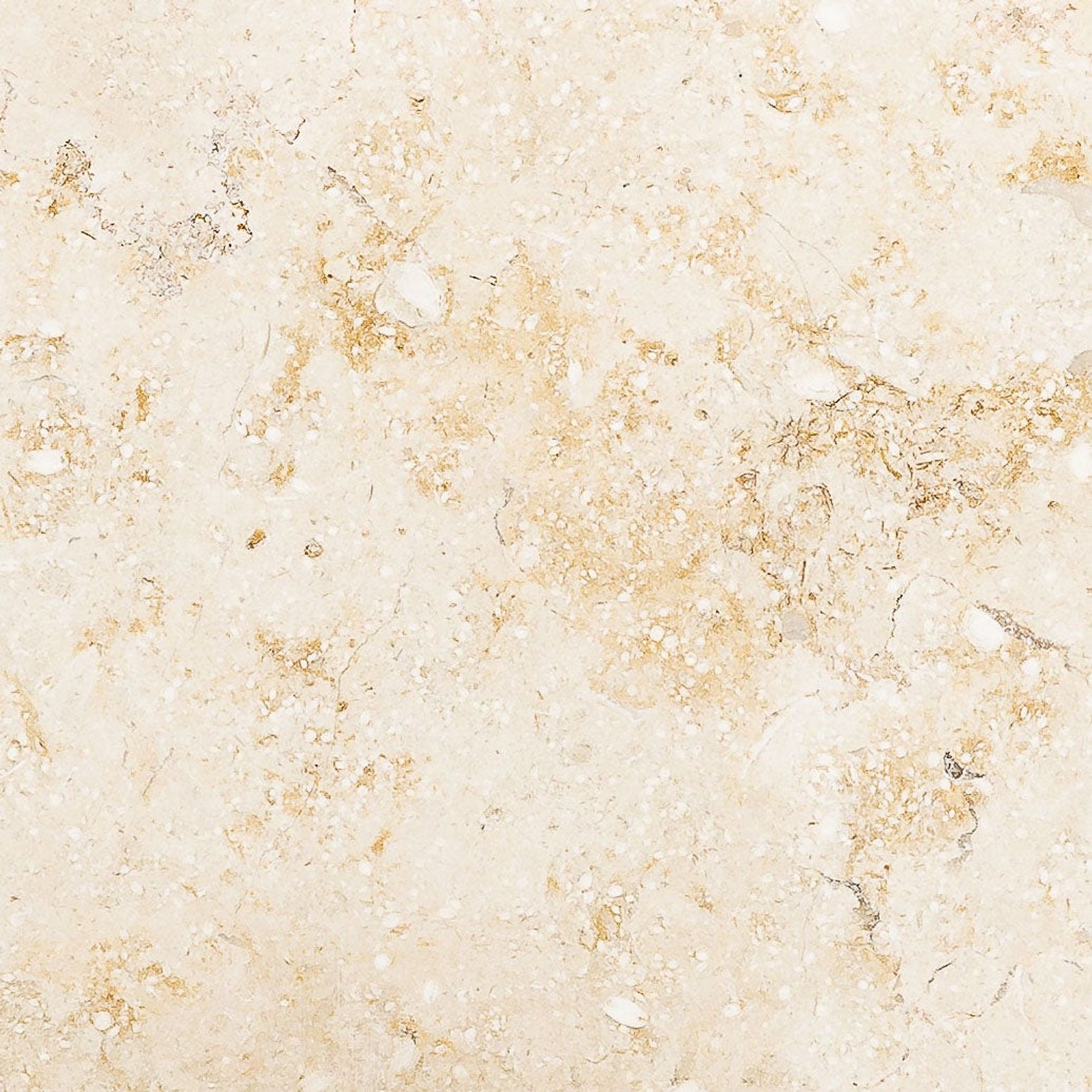Limestone Capbreton | 600x600x15