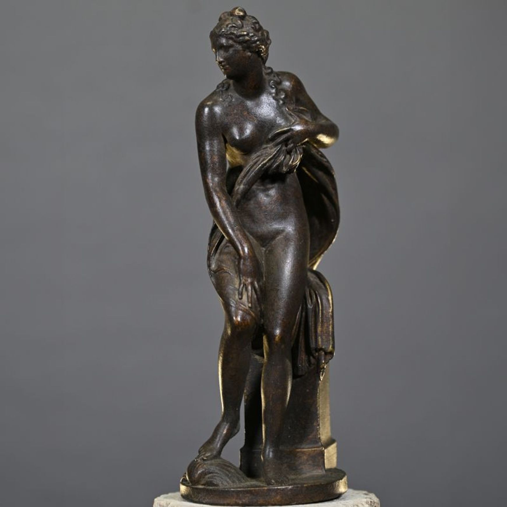 Bathing Venus