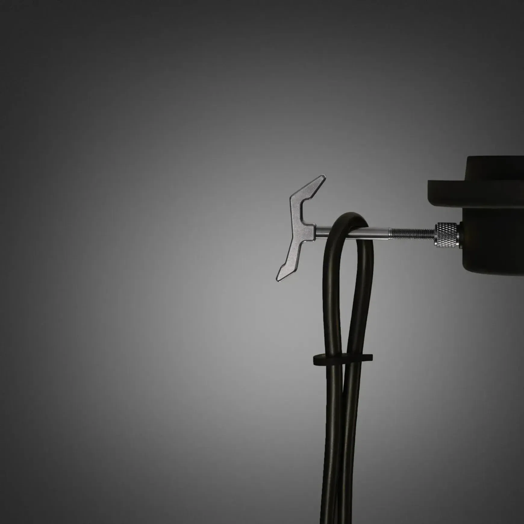 Hooked 1.0 Pendant