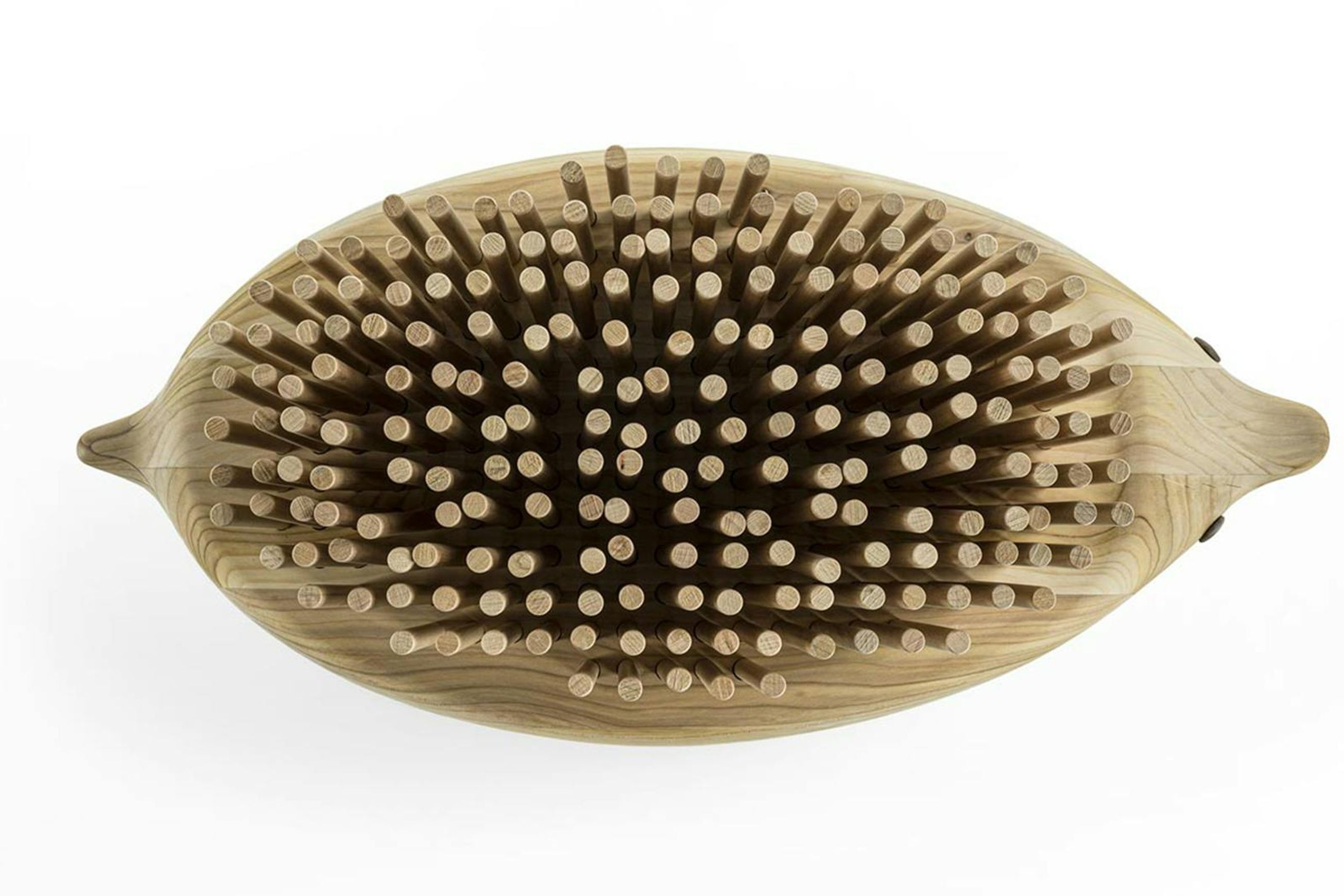 Riccio Bench