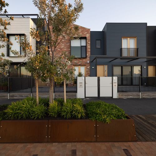 Shingles Plus Natural