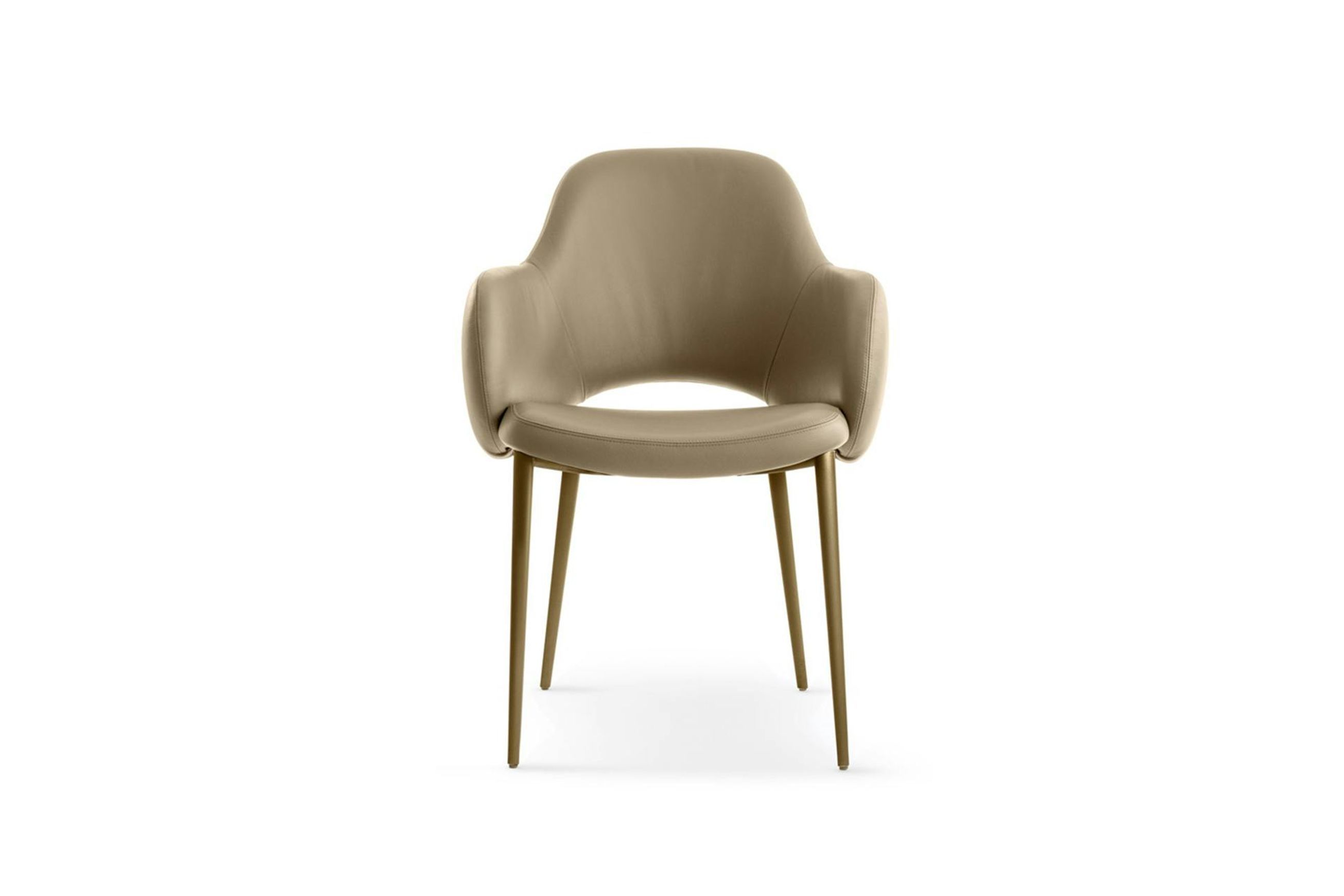 Silhouette Dining Chair