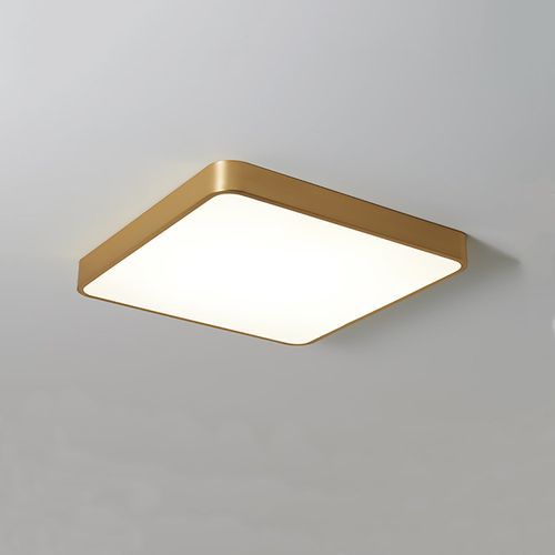 Plano Ceiling Light