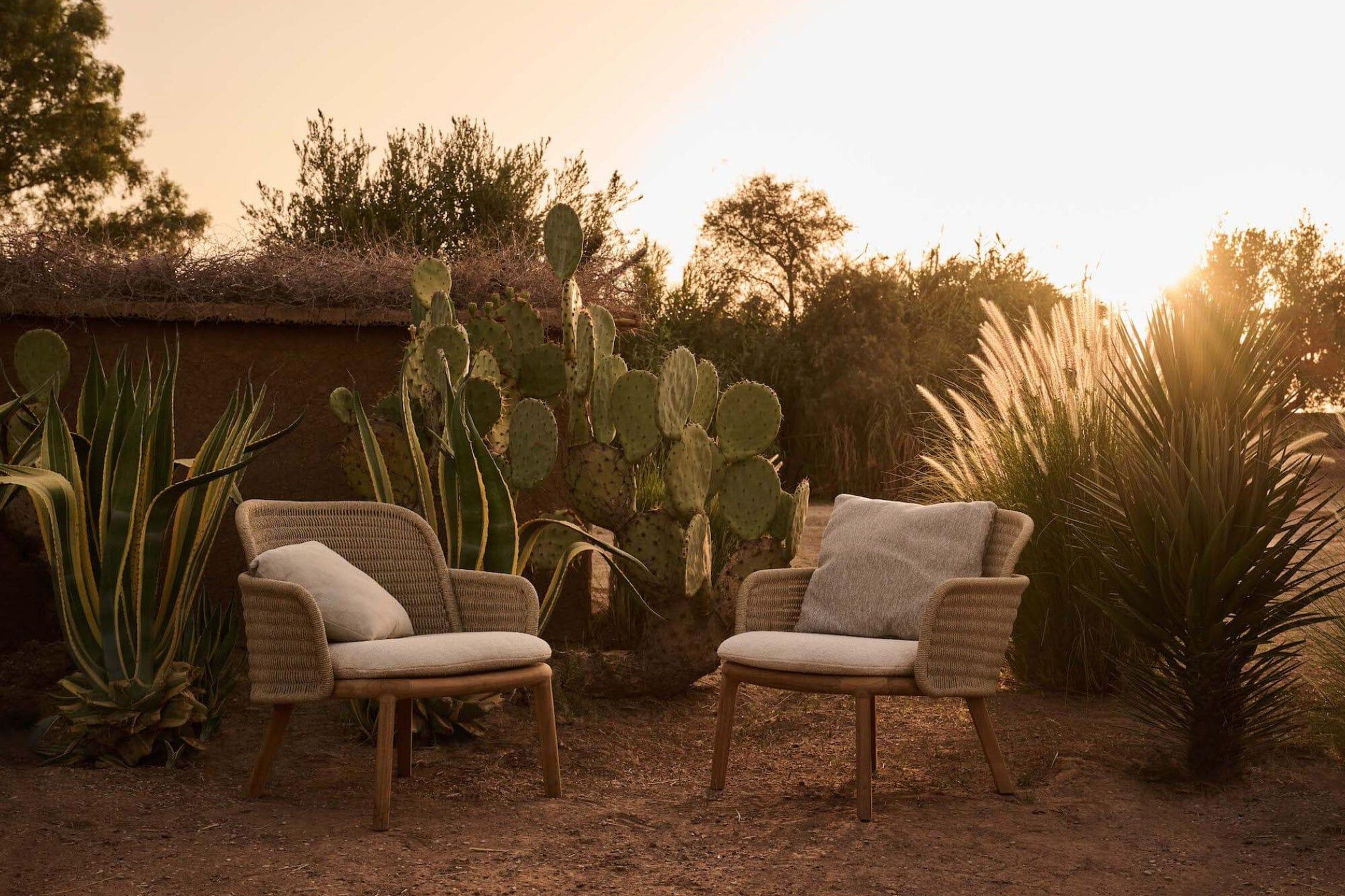 Suro Lounge Chair