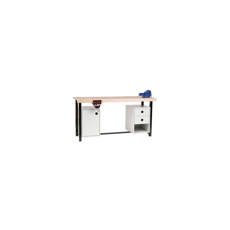 Workshop Demonstration