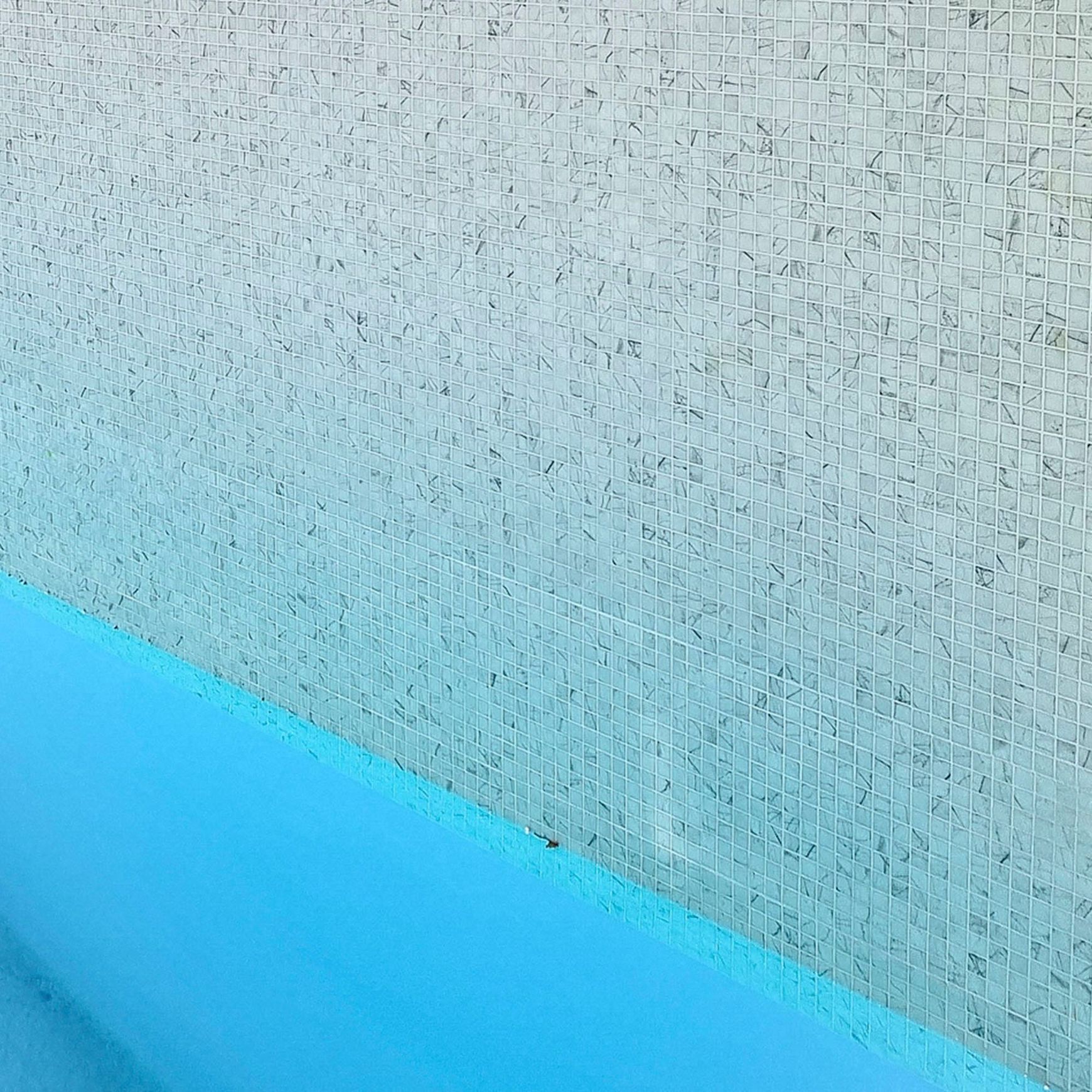 Cararra Mosaic Tile | Zen Collection by Ezarri