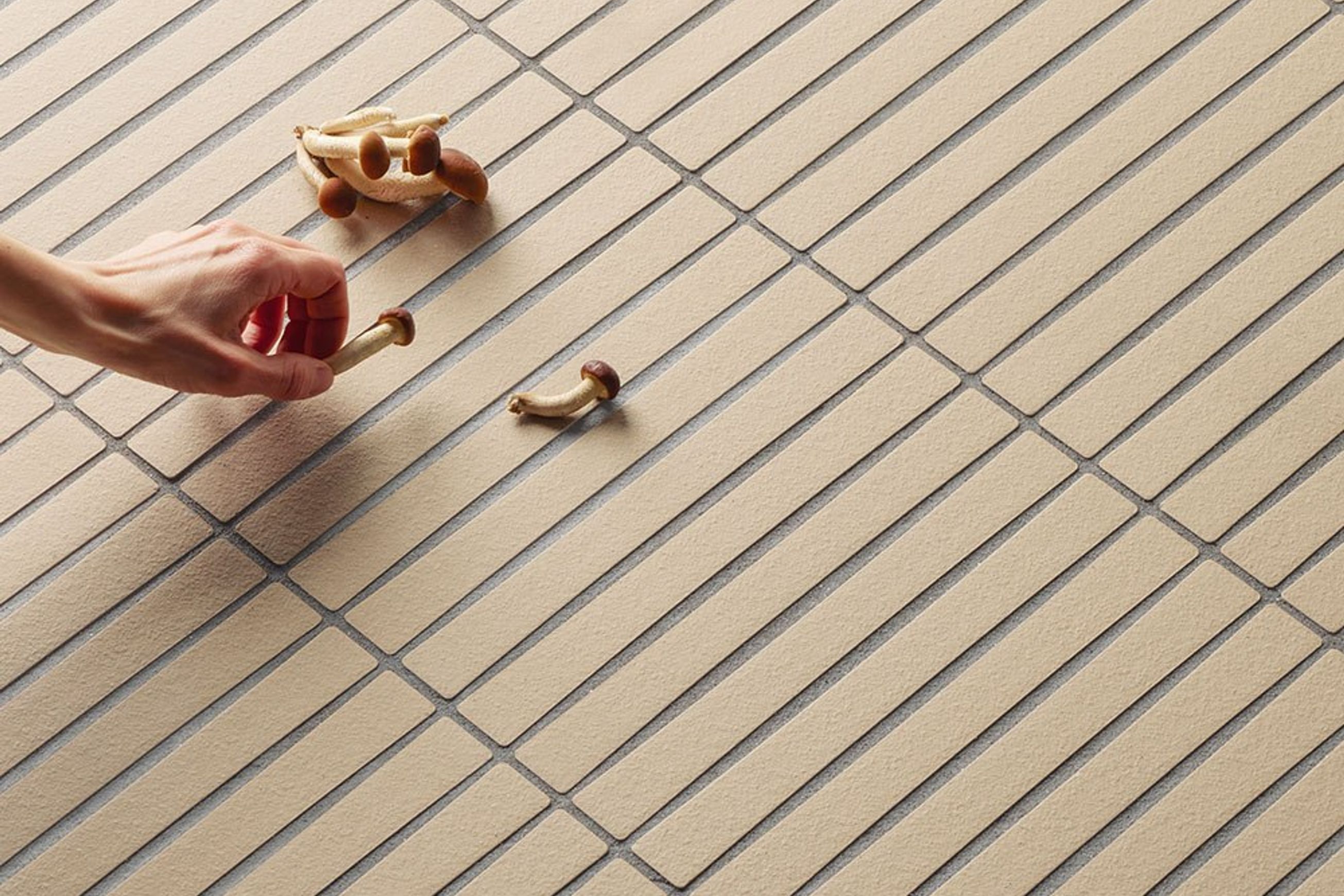 Mutina | Osso & Bottane Floor & Wall Tiles